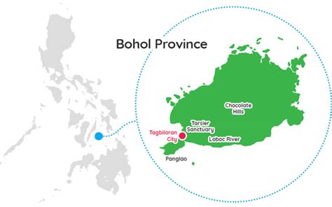 prc bohol location.